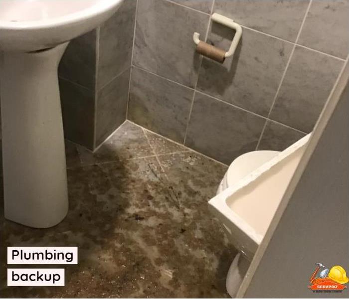 bathroom tile covered in feces after toilet over flows due to plumbing issues